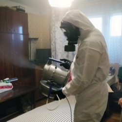 Дезинфекция от клопов в Гавриловом Посаде
