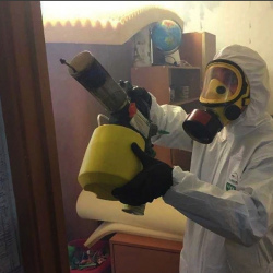 Уничтожение клопов в квартире. Гаврилов Посад